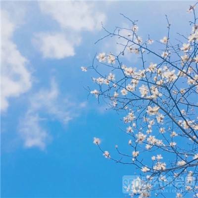 灾难事故模拟器中文版(暂未上线)v1.0.0 安卓手机版