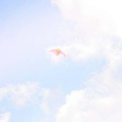 霹雳风云手游